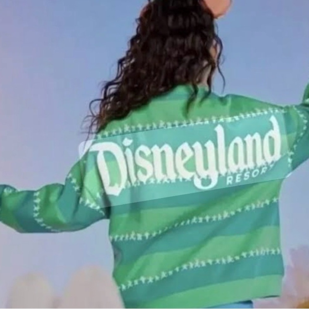 Disneyland resort Mickey and friends green striped logo cropped sweatshirt XS